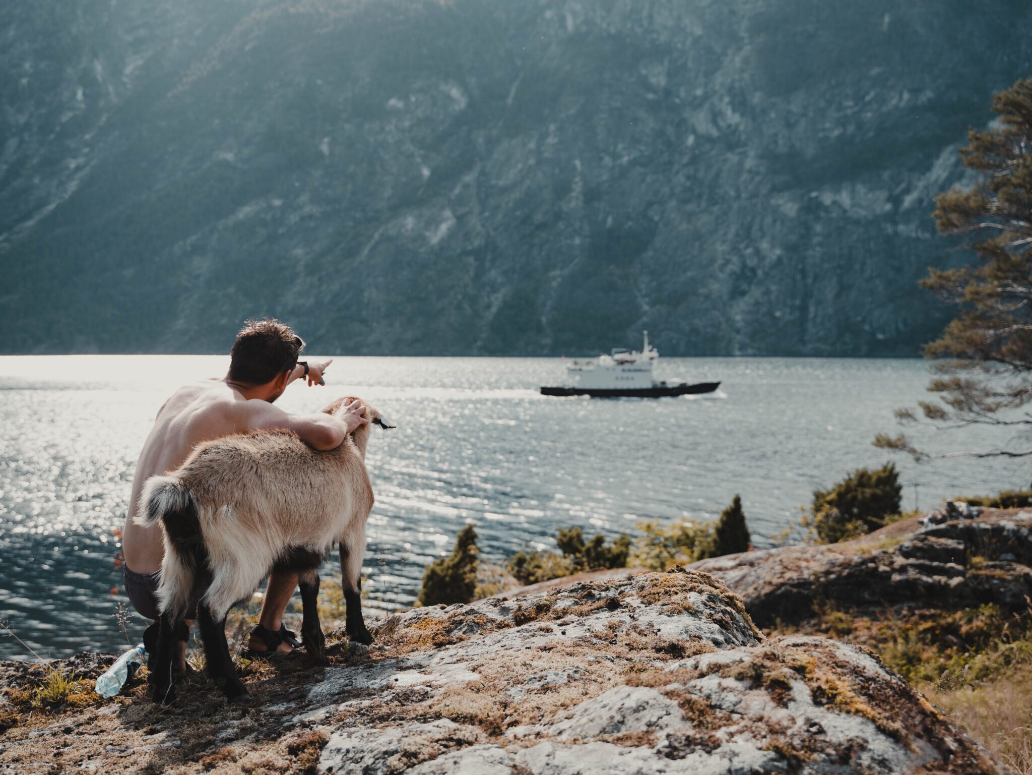 men hugging goat and looking at a cruise