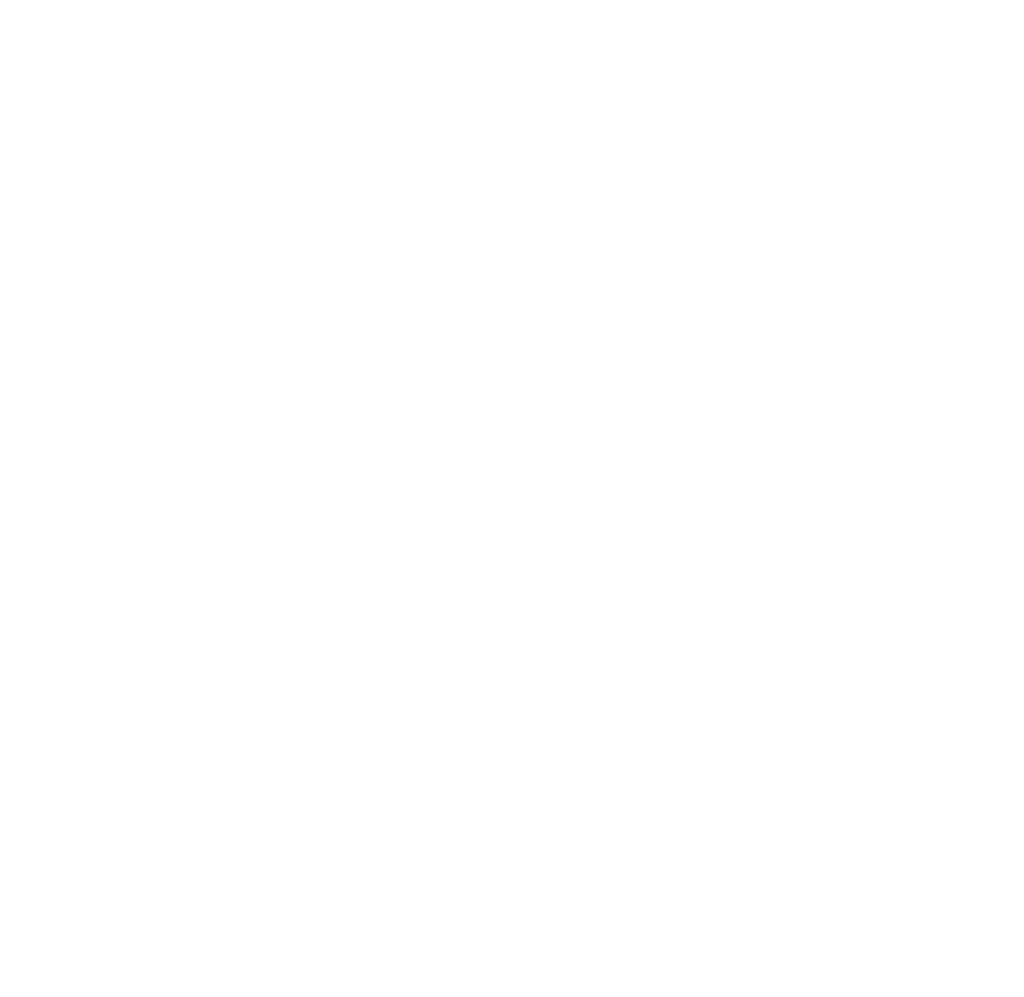 The Kayak Trip logo